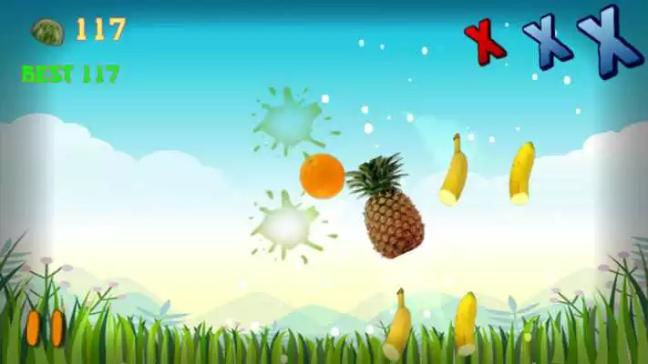 Play Flying Fruit Ninja