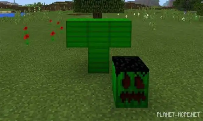 Play Flying Green Beast for PE