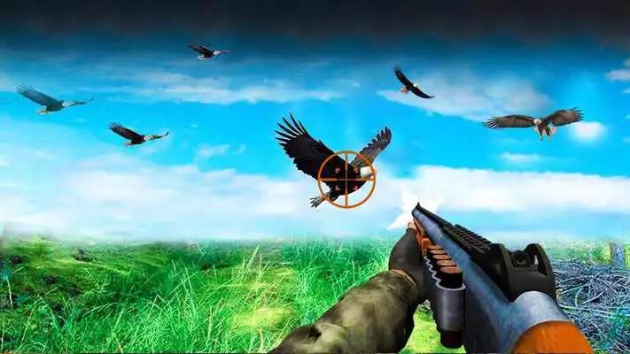 Play Flying Jungle Sniper Birds Hunting 3D