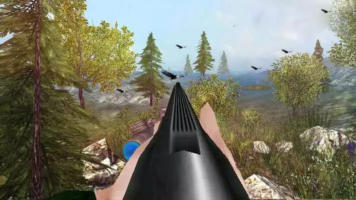 Play Flying Jungle Sniper Birds Hunting 3D