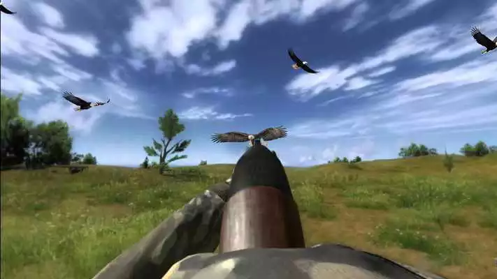 Play Flying Jungle Sniper Birds Hunting 3D