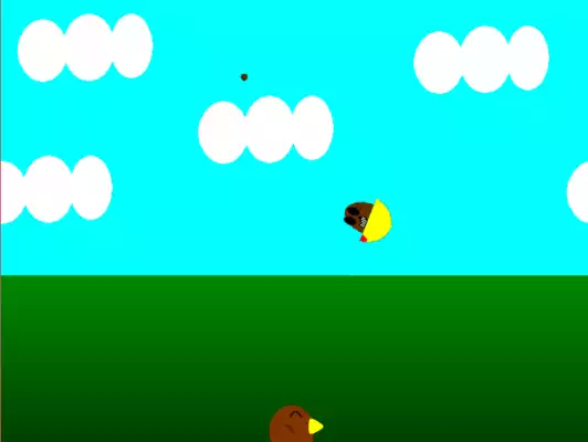 Play flying kiwi