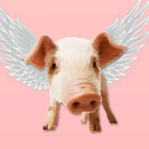 Free play online Flying Pigs APK Free play online Flying Pigs APK
