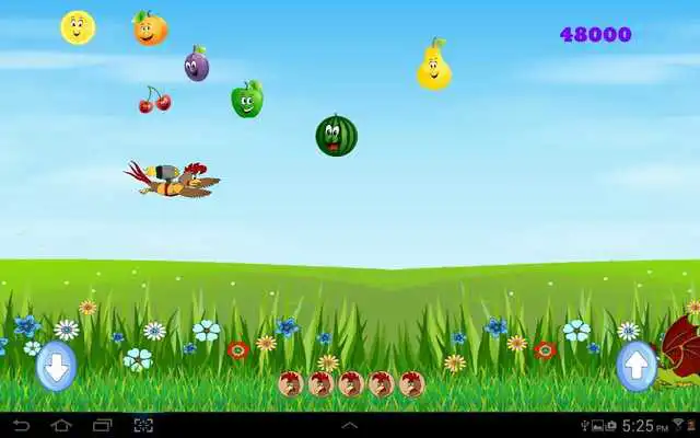 Play Flying Rocky Circus Challenge
