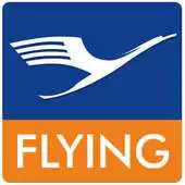 Free play online Flyingroutes APK Free play online Flyingroutes APK