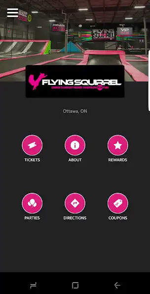 Play Flying Squirrel Trampoline  and enjoy Flying Squirrel Trampoline with UptoPlay