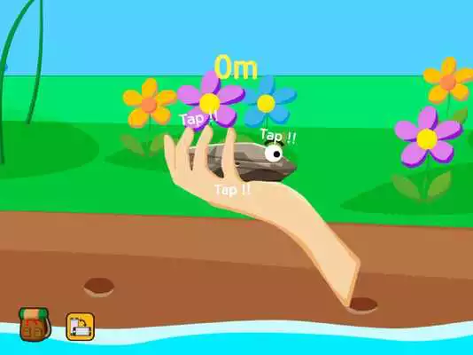 Play FlyingStone