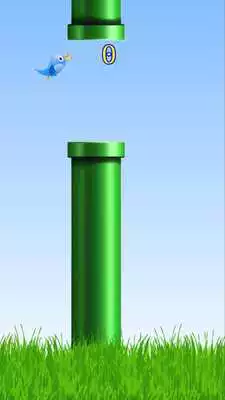 Play Flying Tap Bird Play Flying Tap Bird