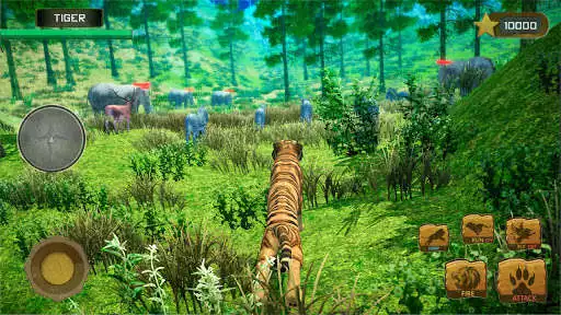Play Flying Tiger Family Simulator as an online game Flying Tiger Family Simulator with UptoPlay