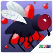 Free play online Fly Live Wallpaper APK
