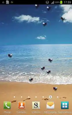 Play Fly Live Wallpaper