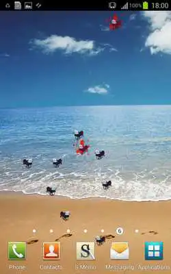 Play Fly Live Wallpaper