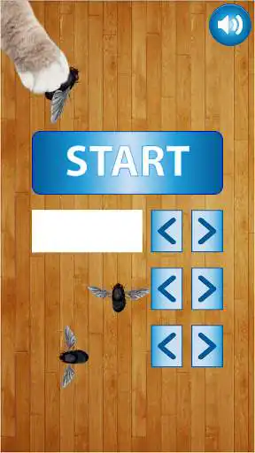 Play Fly on the screen - a game for the cat