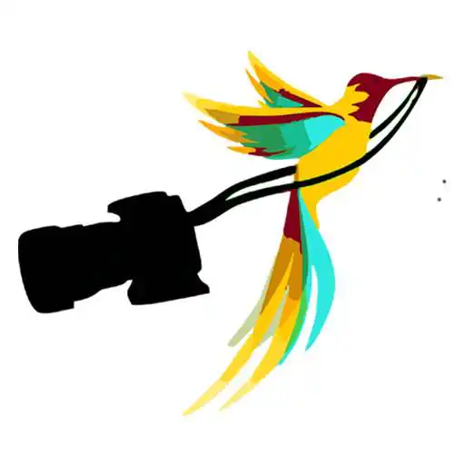 Play Fly Photography - View And Share Photo Album APK Play Fly Photography - View And Share Photo Album APK