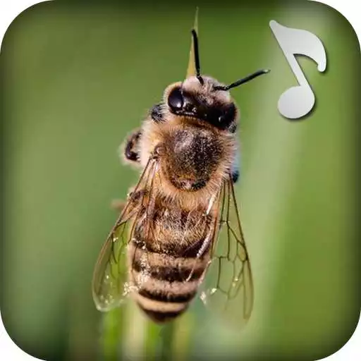 Play Fly Sound Prank APK