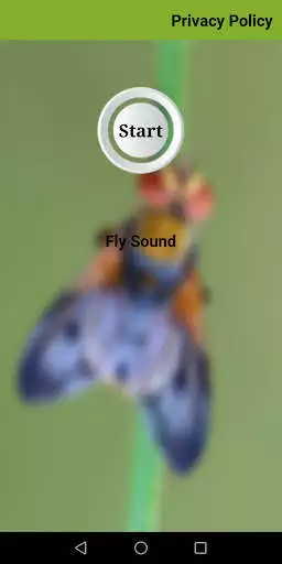 Play Fly Sound Prank  and enjoy Fly Sound Prank with UptoPlay