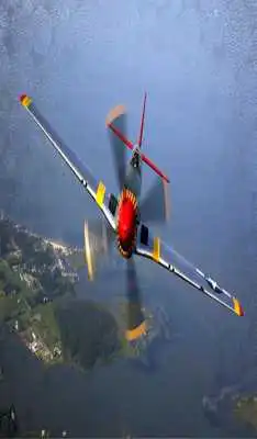Play Fly sounds fx