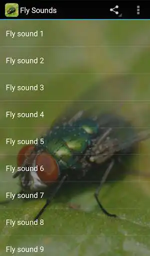 Play Fly Sounds Prank as an online game online Fly Sounds Prank with UptoPlay Play Fly Sounds Prank as an online game Fly Sounds Prank with UptoPlay
