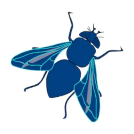Play Fly Swatter APK Play Fly Swatter APK