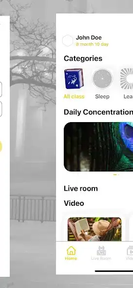 Play FLY - The Original Sleep as an online game FLY - The Original Sleep with UptoPlay