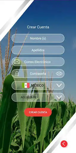Play FMC Agro