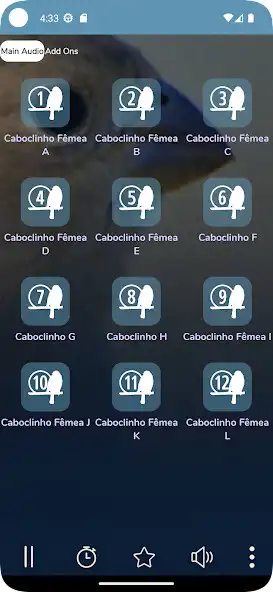 Play Fêmea De Caboclinho Chamando as an online game Fêmea De Caboclinho Chamando with UptoPlay