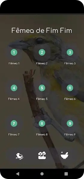 Play Fêmea de Fim Fim Chamando as an online game online Fêmea de Fim Fim Chamando with UptoPlay Play Fêmea de Fim Fim Chamando as an online game Fêmea de Fim Fim Chamando with UptoPlay