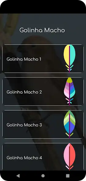 Play Fêmea de Golinha Chamando as an online game online Fêmea de Golinha Chamando with UptoPlay Play Fêmea de Golinha Chamando as an online game Fêmea de Golinha Chamando with UptoPlay
