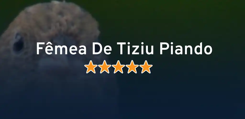 Play Fêmea De Tiziu Piando  and enjoy Fêmea De Tiziu Piando with UptoPlay