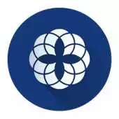 Free play online FMMA APK