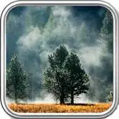 Free play online Fog Wallpaper APK