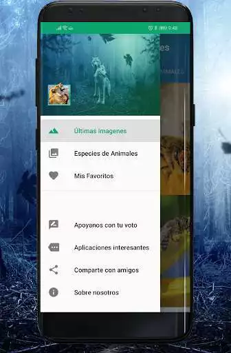 Play Fondos de animales as an online game Fondos de animales with UptoPlay