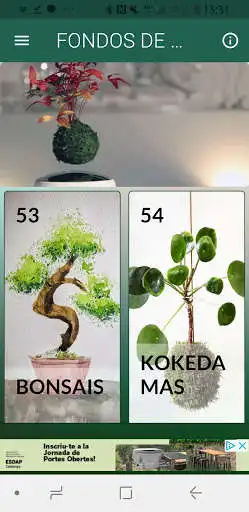 Play FONDOS DE PANTALLA BONSAIS Y KOKEDAMAS  and enjoy FONDOS DE PANTALLA BONSAIS Y KOKEDAMAS with UptoPlay
