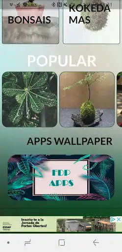 Play FONDOS DE PANTALLA BONSAIS Y KOKEDAMAS as an online game FONDOS DE PANTALLA BONSAIS Y KOKEDAMAS with UptoPlay