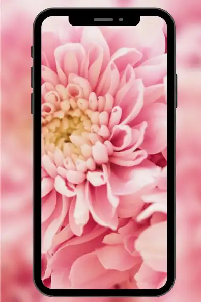 Play Fondos de Pantalla con Flores  and enjoy Fondos de Pantalla con Flores with UptoPlay