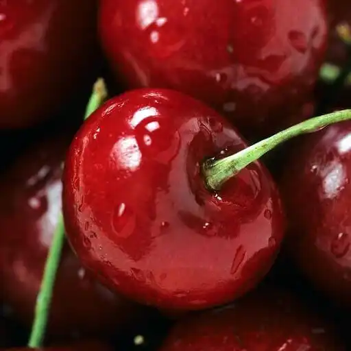 Play Fondos de Pantalla de Fruta APK Play Fondos de Pantalla de Fruta APK