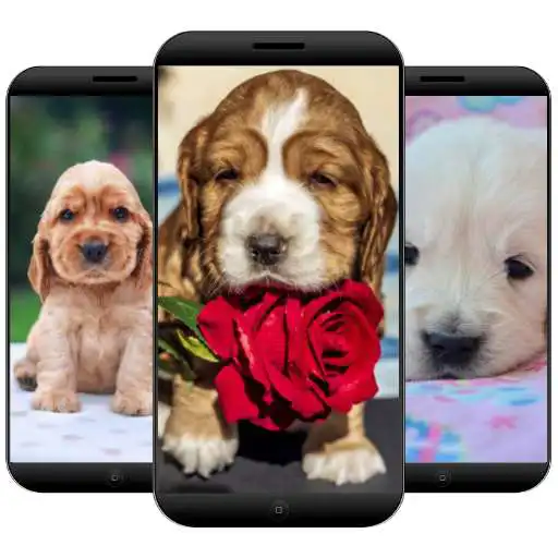 Play Fondos de pantalla de perritos APK