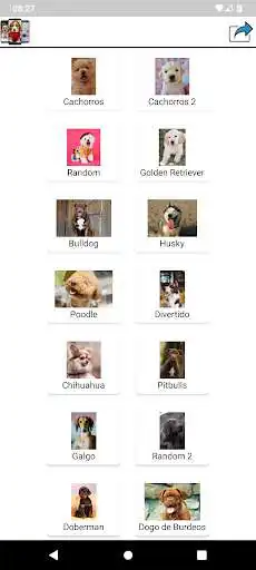 Play Fondos de pantalla de perritos  and enjoy Fondos de pantalla de perritos with UptoPlay