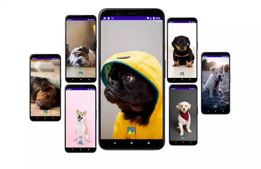 Play Fondos de Pantalla de Perros Tiernos  and enjoy Fondos de Pantalla de Perros Tiernos with UptoPlay