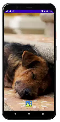 Play Fondos de Pantalla de Perros Tiernos as an online game Fondos de Pantalla de Perros Tiernos with UptoPlay