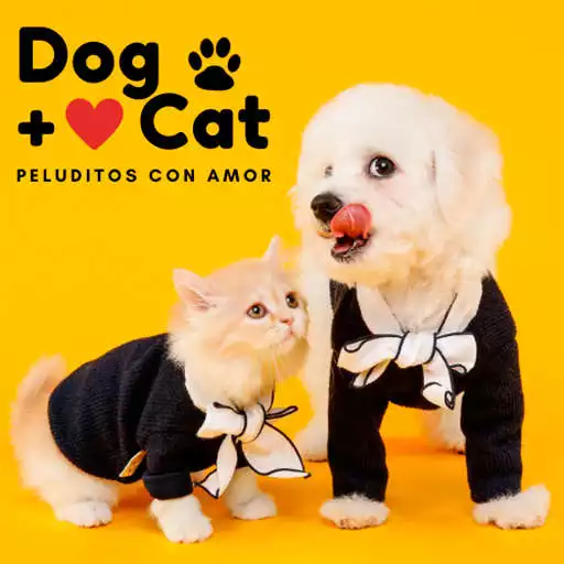 Play Fondos de Pantalla de Perros y Gatos APK Play Fondos de Pantalla de Perros y Gatos APK