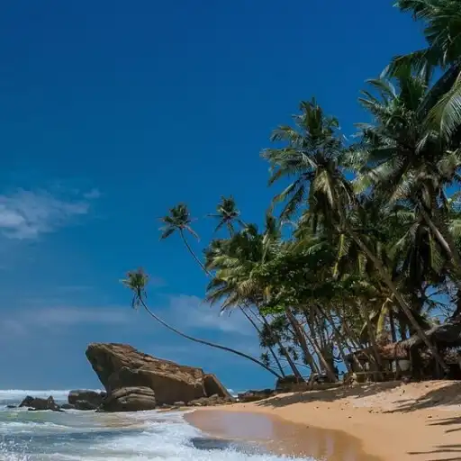 Play Fondos de Pantalla de Playas. APK Play Fondos de Pantalla de Playas. APK