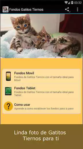 Play Fondos Gatitos Tiernos  and enjoy Fondos Gatitos Tiernos with UptoPlay