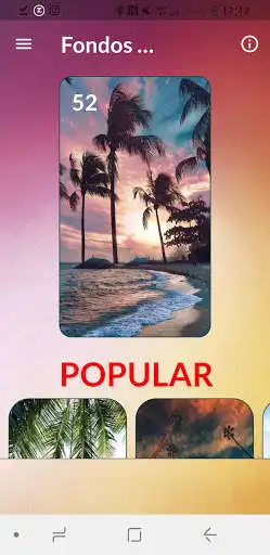 Play Fondos Pantalla Palmeras  and enjoy Fondos Pantalla Palmeras with UptoPlay