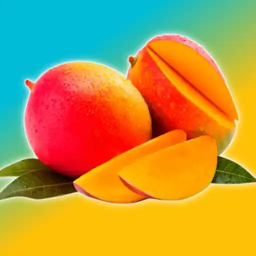 Play Food Cash APK