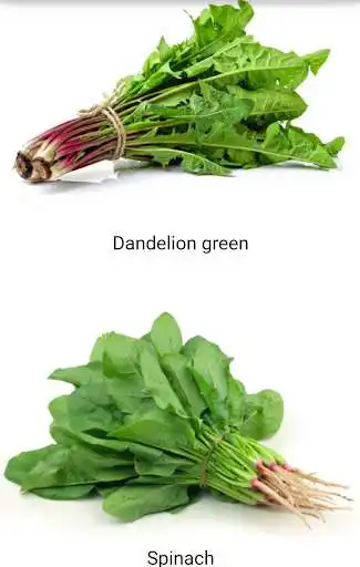 Play APK Food For Anemia  and enjoy Food For Anemia with UptoPlay com.miko3apps.foodforanemia