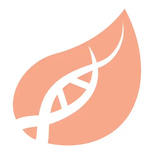 Play Foodformation APK Play Foodformation APK