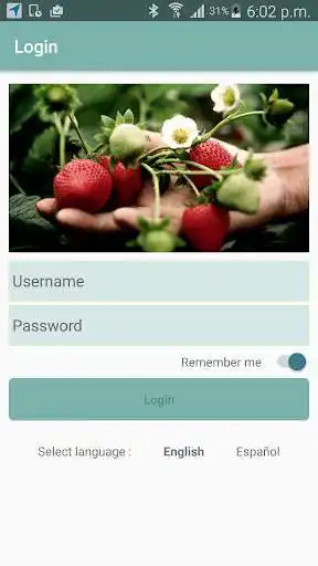 Play Food Safety App  and enjoy Food Safety App with UptoPlay