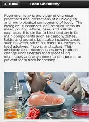 Play Food Science