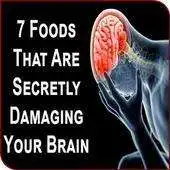 Free play online Foods Harmful For Human Brain APK